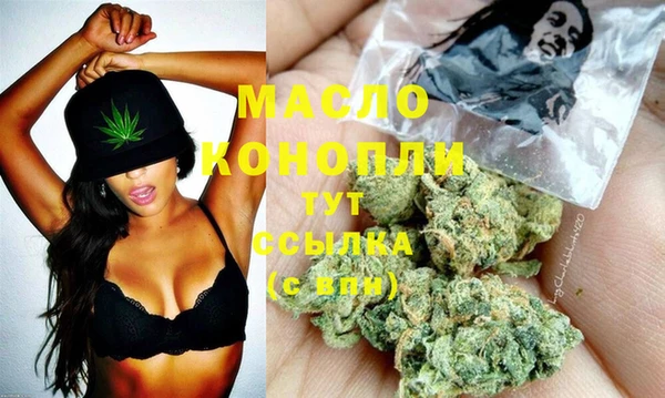 стаф Аркадак