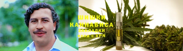 сатива Арсеньев