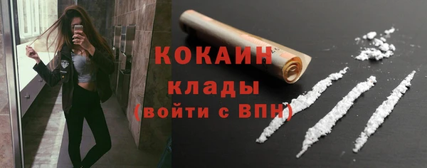 сатива Арсеньев