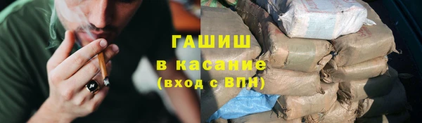 стаф Аркадак