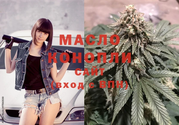 стаф Аркадак