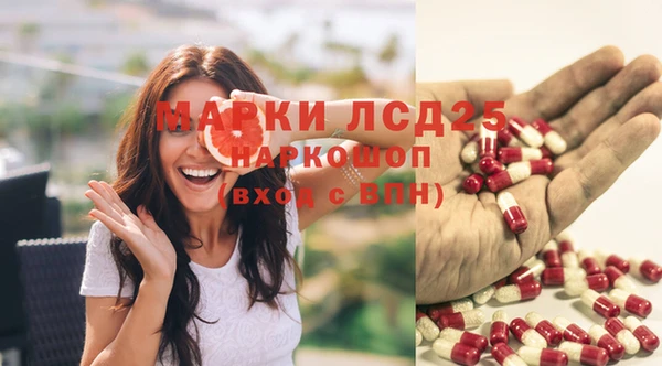 стаф Аркадак