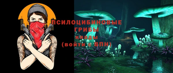 стаф Аркадак