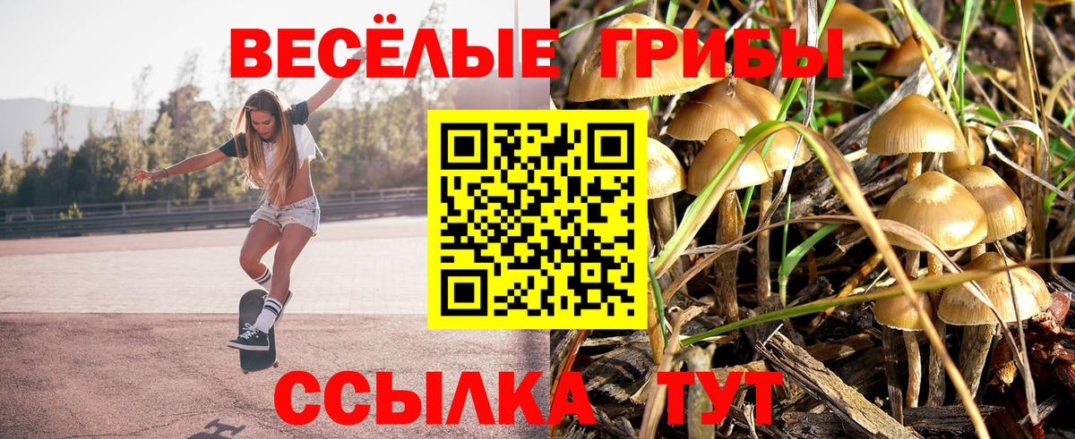 Псилоцибиновые грибы мицелий Новый Уренгой
