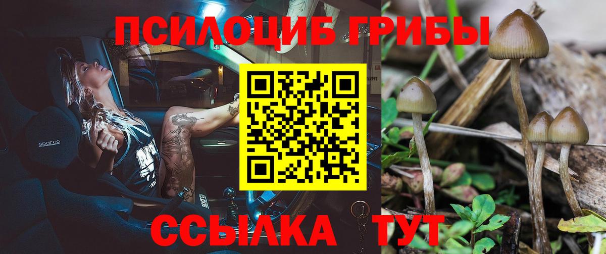 Новый Уренгой  Псилоцибиновые грибы Magic Shrooms  Вход с VPN 