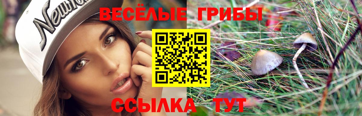 Новый Уренгой  Псилоцибиновые грибы Psilocybine cubensis  Вход с VPN  наркотики  Псилоцибиновые грибы Psilocybe 